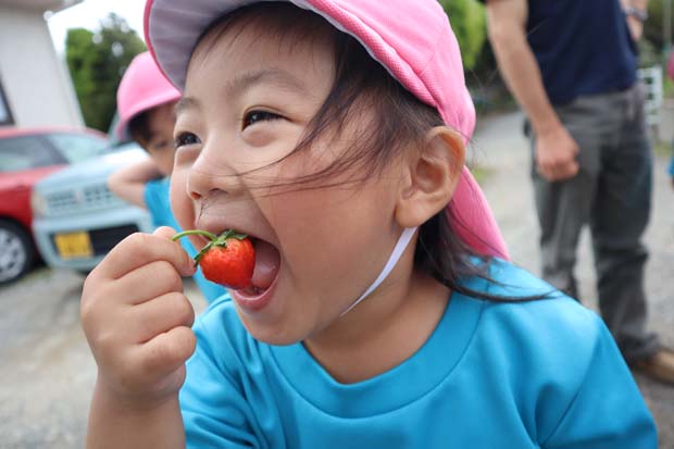 Eating strawberries in Spring