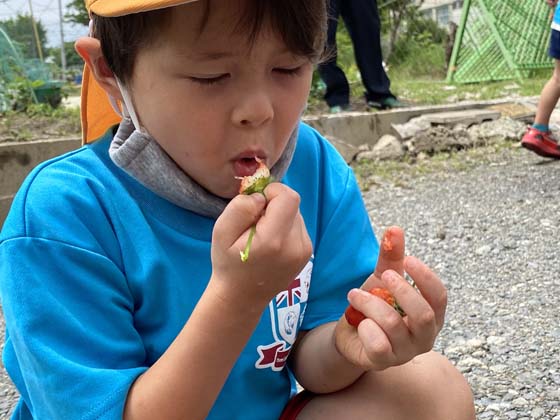 Eating strawberries in Spring